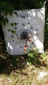 Target with Arrows at Bullseye