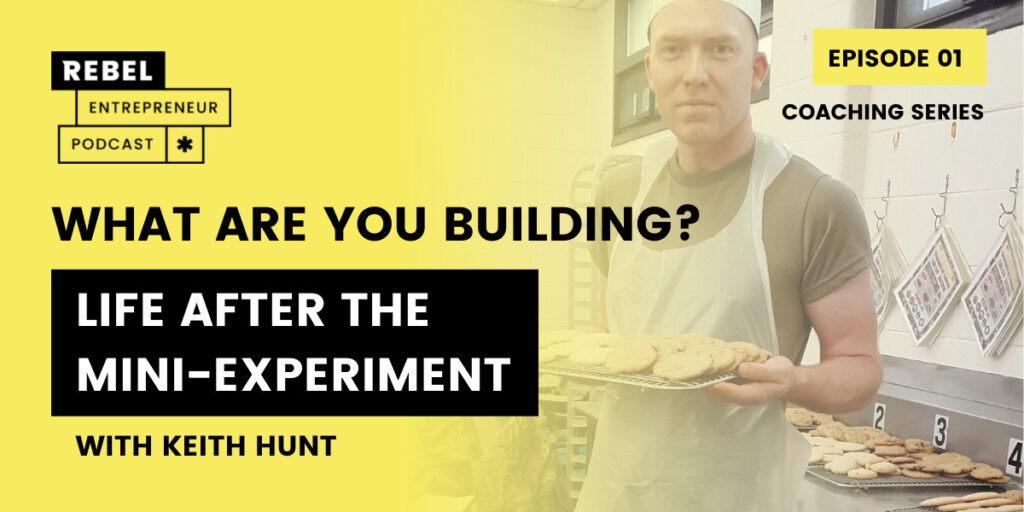 Rebel Entrepreneur Coaching Series: What Are You Building? Life After the Mini-Experiment Artwork